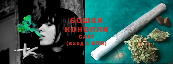 spice Горнозаводск