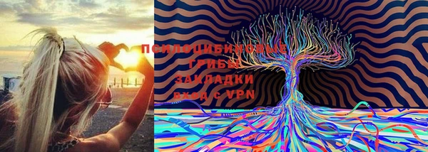 spice Горнозаводск