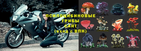 соль ск Горняк