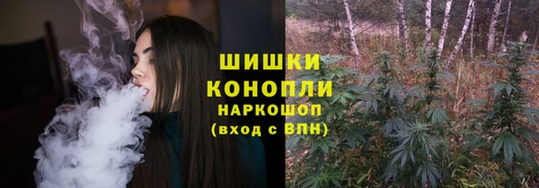 МДПВ Горно-Алтайск