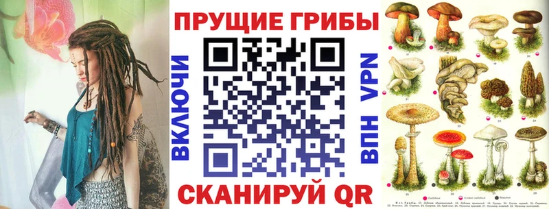 сколько стоит  Гремячинск  Псилоцибиновые грибы ЛСД 